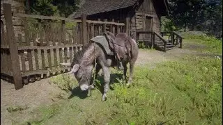 RDR2 Where To Find The Donkey And How To Save It Red Dead Redemption 2