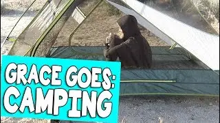 GRACE GOES: CAMPING // Grace Helbig
