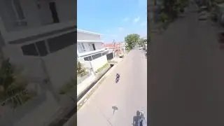 BURUNG MACAW PULUHAN JUTA LEPAS