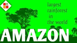Interesting facts about  Amazon Rainforest - history of amazon rainforest, in English.