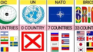 Which Countries Don't Like the Same Global Alliances