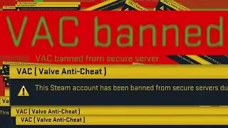 VAC Banned mid-game...