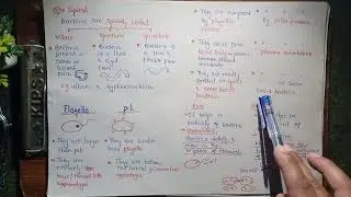 Flagella Structure And Functions | Pili | Chemotaxis | Class 11