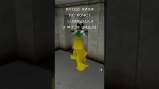 Когда киви не хочет сниматься в моём видео: