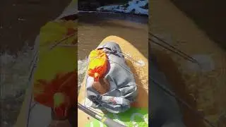 Сап на Суводи #supsurfing