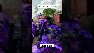 ALL Black Ops 6 CAMOS REVEALED 