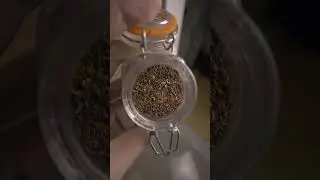 Cozy Chai