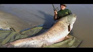 Ловля сома на донку рыбалка