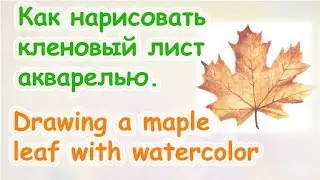 Как нарисовать кленовый лист акваерлью Цуканова Виктория