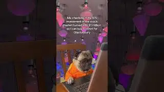 Small steps towards a dream #meme #concert #festival #concerts #concertmeme #glastonbury #dog #pug