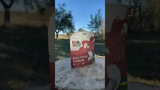 Каша гречана з грибами від Fest food mission #shorts