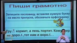 Online maktab 5 класс 17 сентября