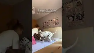 The appearance of my mother-in-law🤣 