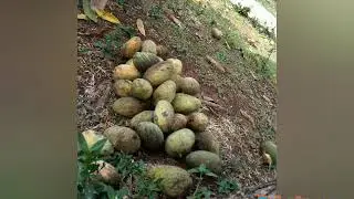 recuerdos del pasado