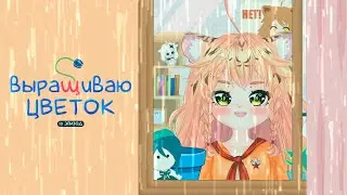 Дождь, тигр, музыка и горшок.