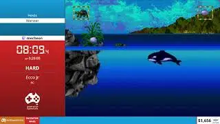 Ecco Jr - Hard Speedrun by Mecheon - FAST 2020