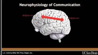 Measuring ‘neuronal oscillations for communication’ in the human, with electrocorticography (ECoG)