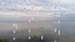 Daria Zawiałow - Jeszcze w zielone gramy