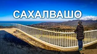 Поднялись на площадку для наблюдения за птицами в Сахалвашо | Грузия