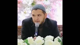 Sardor domla bu oyda qancha salovat aytingiz