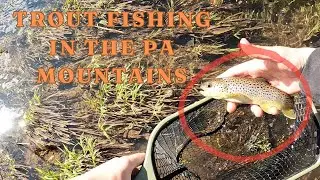 Trout Fishing in the Mountains of Pennsylvania