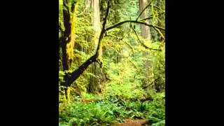 Andrej Doubrovski - Russische Märchen (Original Song)