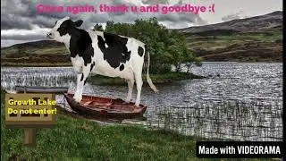 This is the end.... I am quitting Youtube :(