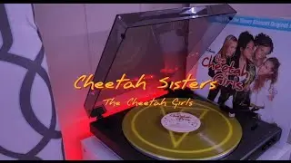 The Cheetah Girls - Cheetah Sisters [ Vinyl ]