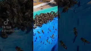 И такое бывает 