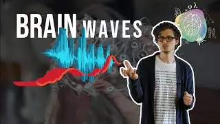 Visualizing the brain - brain waves