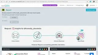 Socialpeeks How To: Step 5 - Reviewing an influencer's Instagram Insights report