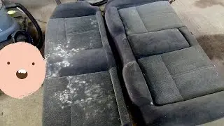 Quick dry cleaning of velour seats with mold from a Subaru!