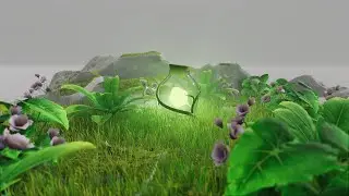 Plant Bomb VFX