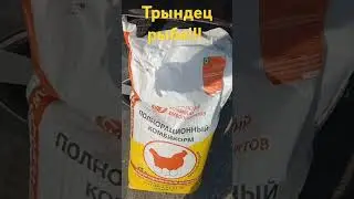 Трындец рыбе!!!