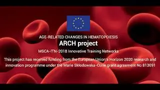 ARCH project MSCA - AGE RELATED CHANGES IN HEMATOPOIESIS - Horizon 2020
