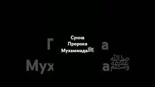 Сунна пророка МухаммадаﷺСалих Аль Усайми.#сунна #религия #islam #prophetmuhammad