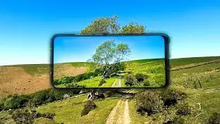 TCL 10L - Ultimate Video Test!