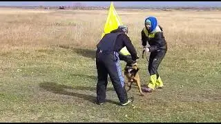 Наши внуки на Камчатке❤️ малинуа