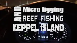 Micro Jigging the Keppel Island Group