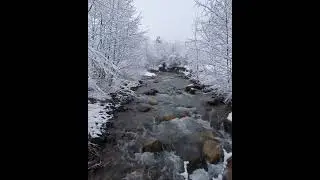 🤩❄️💧❄️😍