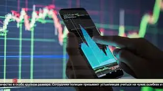 Рекордный улов аферистов 12.02.2024