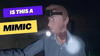 When You Get a Mimic On a No Evidence Run! Getting the Ghost Right Without Entering the Gate!