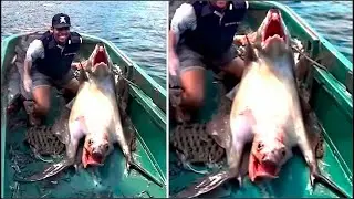 15 Peces y Criaturas Extrañas Atrapadas Por Personas