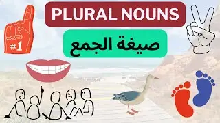 PLURAL NOUNS صيغة الجمع