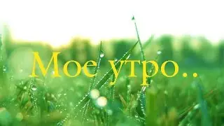 TAG:Мое утро /My morning