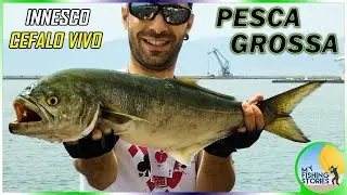 Pesce Serra su innesco cefalo vivo | Pesca da terra ai grandi predatori