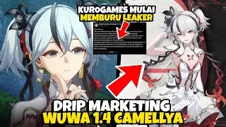 KuroGames Mulai Buru Leaker & Drip Marketing 1.4 CAMELLYA Wuthering Waves Top up di Ditusi