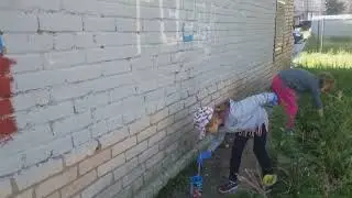 Триколор