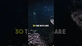 Hundreds of sharks swarming the boat