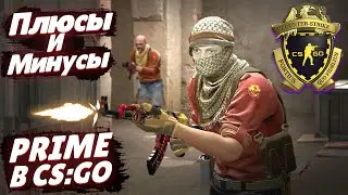 ПОЧЕМУ НЕ СТОИТ ПОКУПАТЬ PRIME В КС ГО | Rob Play CS GO